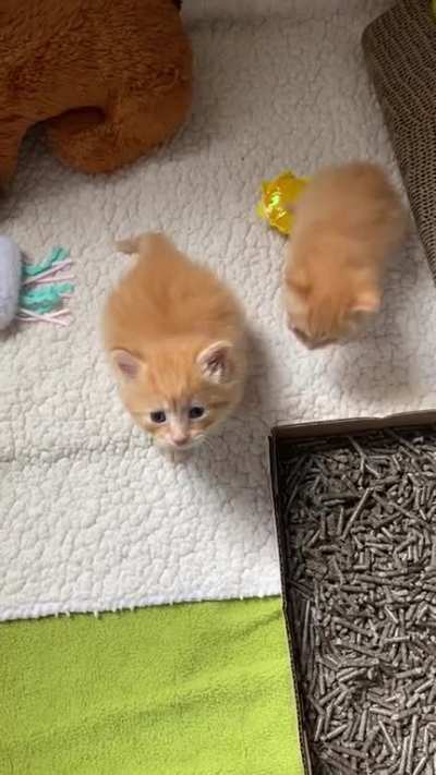 Baby&rsquo;s first jump