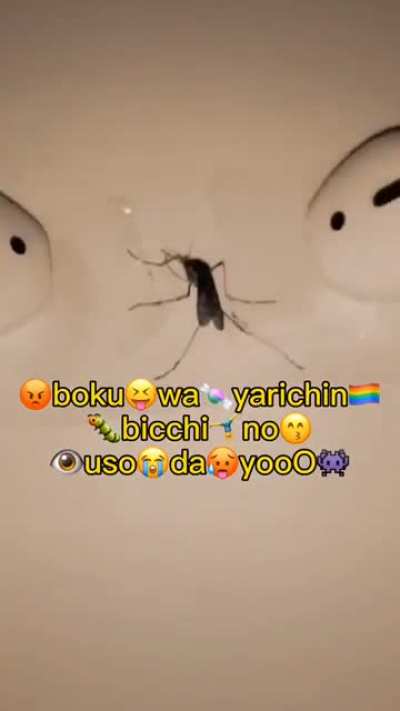Chupa essa filha da puta