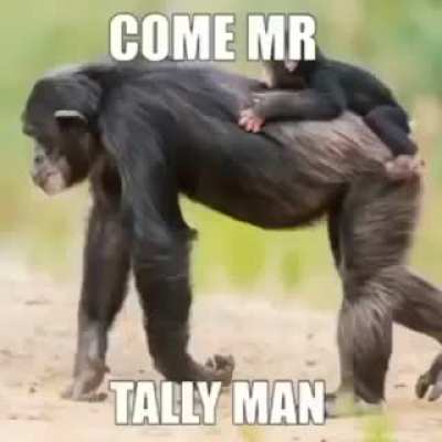 Tally me banana