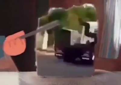 Pressão nenem