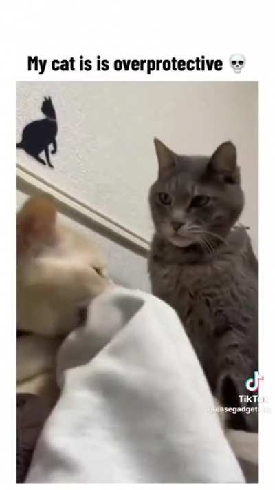 To Bite The Hand That Feeds You