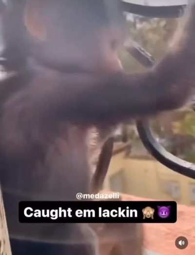 Clamming my shit rn I'm clammy as fuck man
