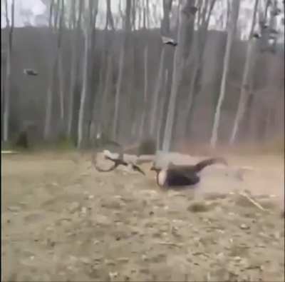 HMFT after I fall