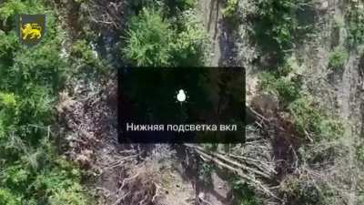 Ukrainian 60th Mechanized Brigade's 98th Battalion drone team targeted Russian infantry in a tree line with dropped munitions, landing good hits