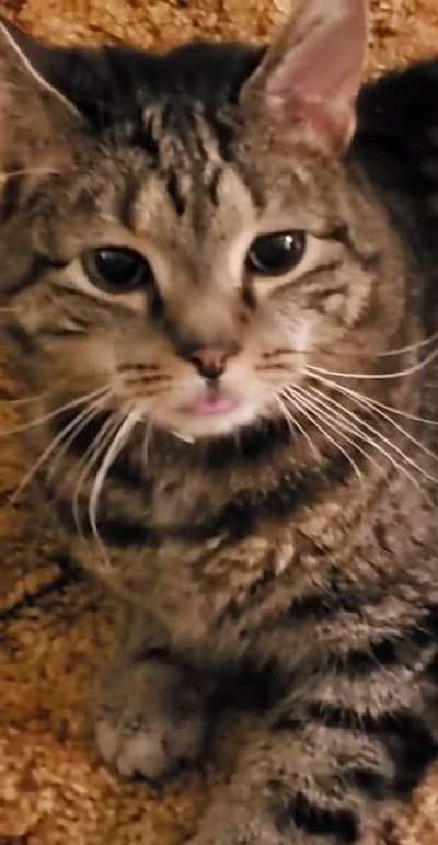 Blep