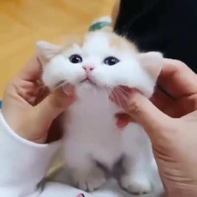 Thanks, I love cheeks being squishy