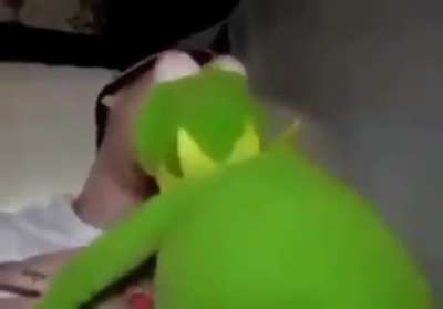 ayo