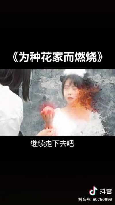 为中华家而燃烧