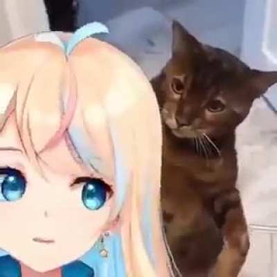 yamete