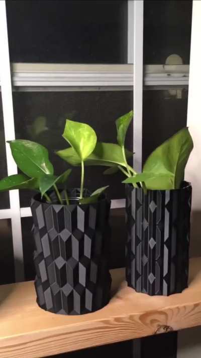 Time lapse of my Pothos (water propagation)