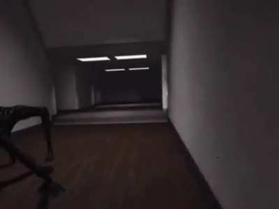 apeirophobia moment