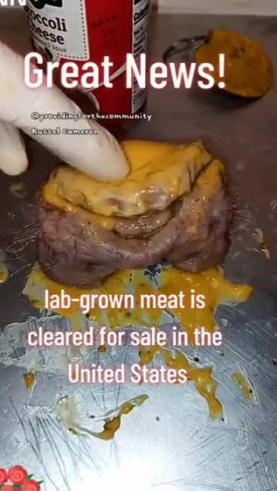 Living ballsack