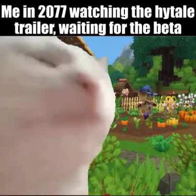 bruh