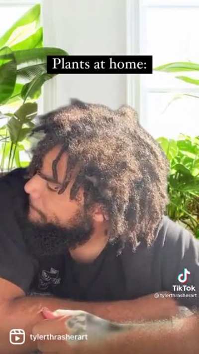 Outside Plant vs Inside Plant