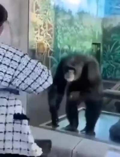 To dance with gorilla