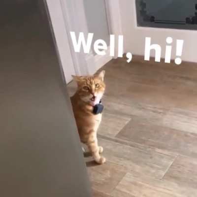 Howdy!