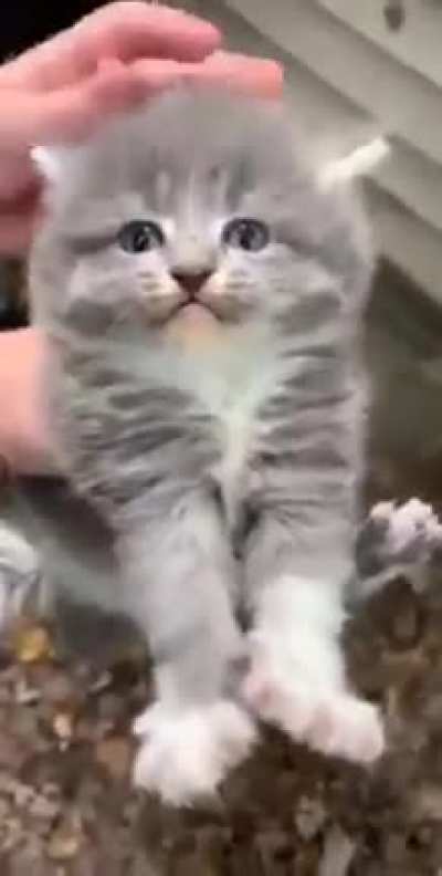 a good title