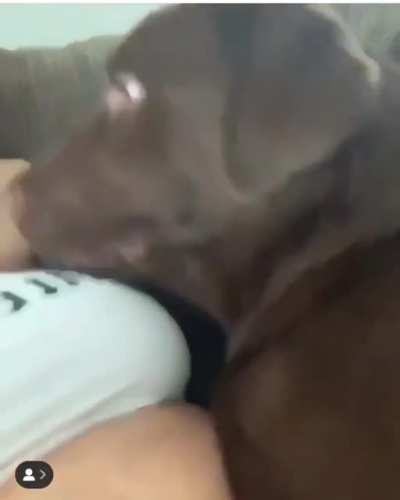 Chomp