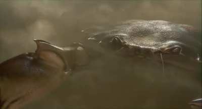 SEASON 12 AZIR vs SCUTTLE CRAB