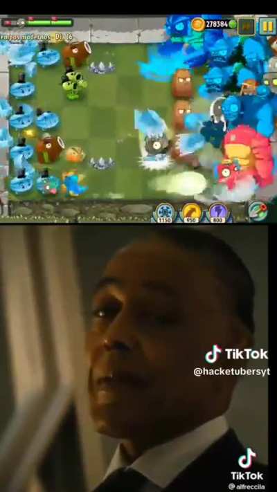 xd