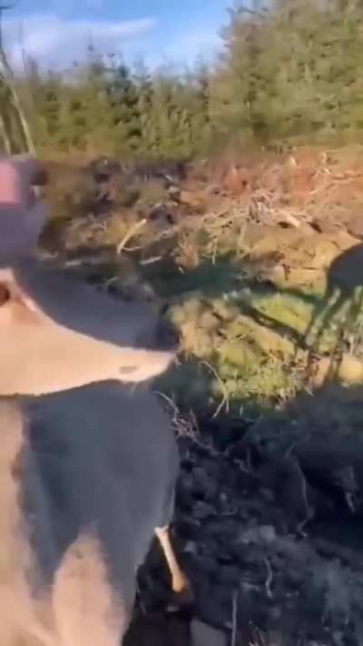 Well.... that's not even fair. Hunters hate this trick