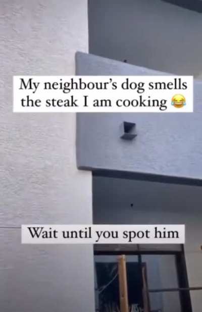 He&rsquo;s having the time of his life