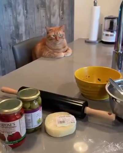 Sitting at the Chef&rsquo;s Table