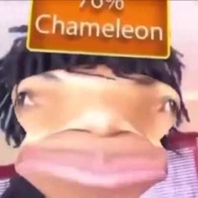 Chameleon isn&rsquo;t an ethnicity WTF 🤔🤔😂😳😳💂&zwj;♀️