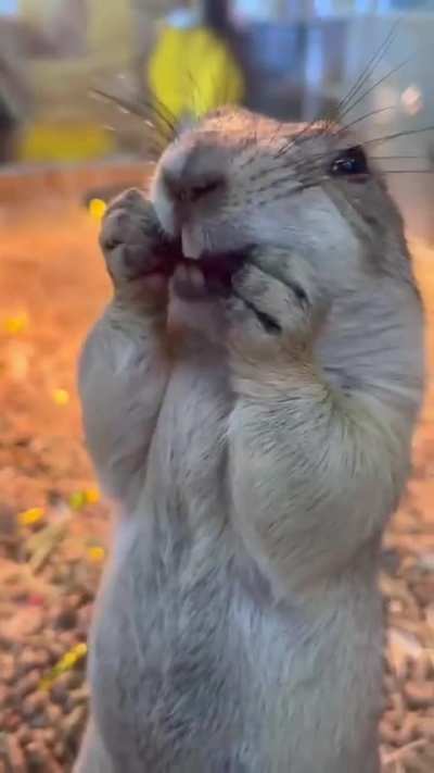 What do you think about this aww