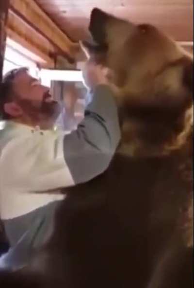 is that a russian labrador?