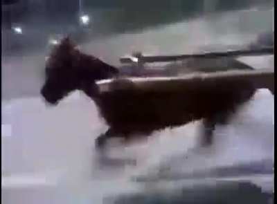 Electronic vehicles : Pakistan edition