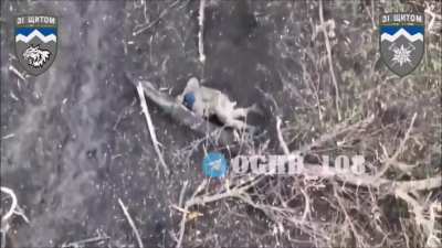 Ukrainian drone operator of the 108th Separate Mountain Assault Battalion drops a munition on a Russian serviceman who is playing dead. Before the drone arrives to drop a second munition, the soldier already took his life.