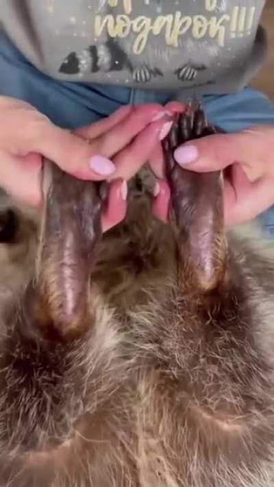 Oh lawd he SPAing