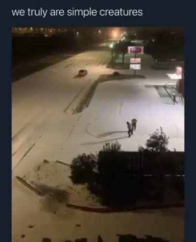 Снегодятлы