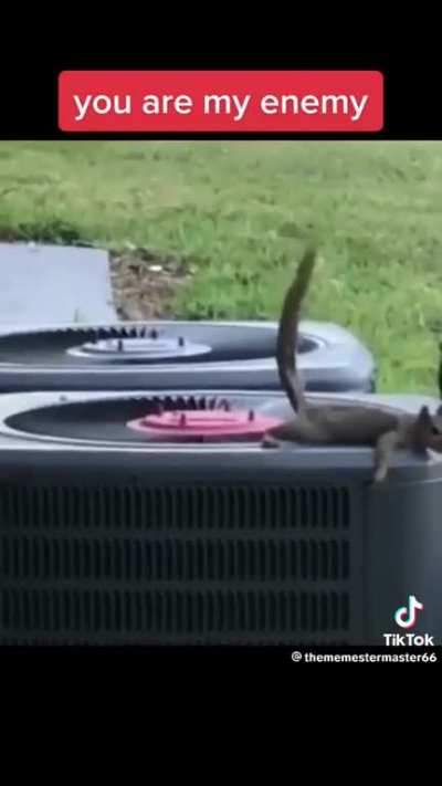 &eth;&eth;&eth;