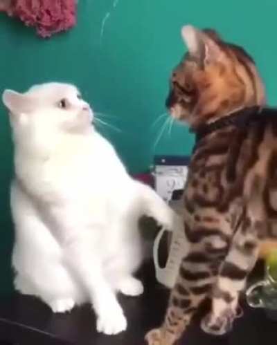 instant regret