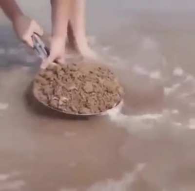 Thanks, I hate going to the beach now knowing what might be just below my feet