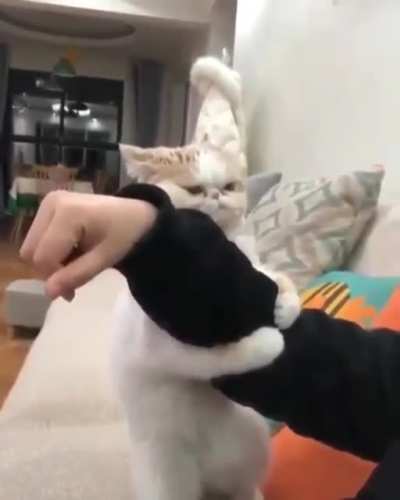 Do it! Now!