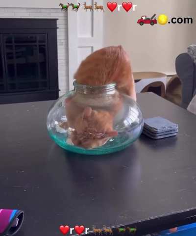 If I fits I sits