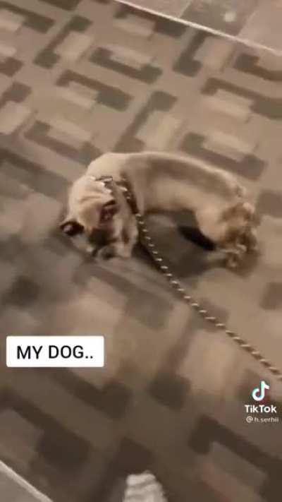 He is free..