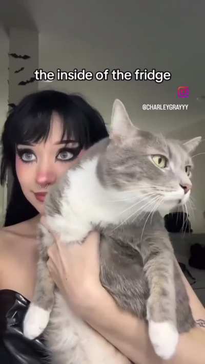 rule