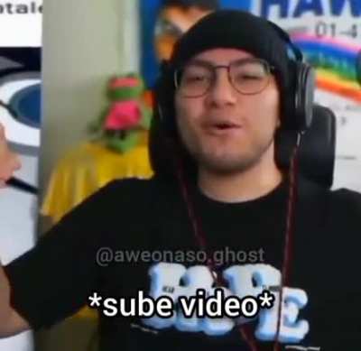 Seta seta seta