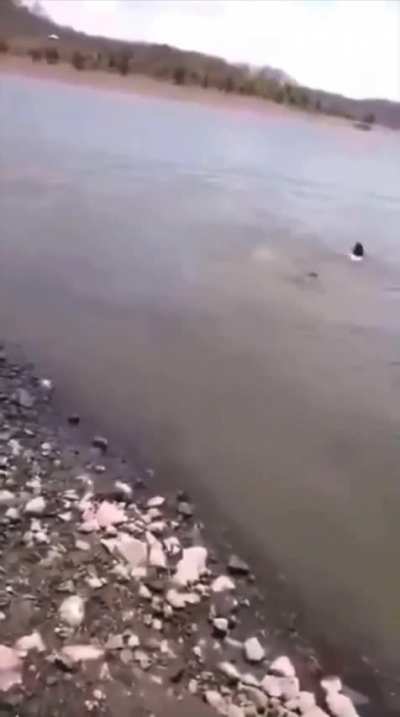 küçük çocuk tüm ailesinin boğuluşunu videoya alıyor