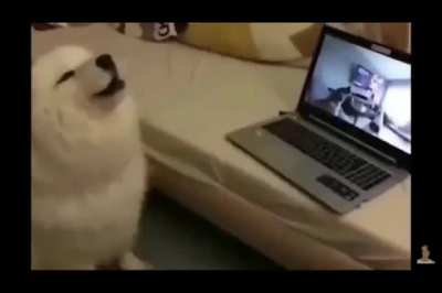 Howlception