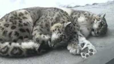 tenderness..