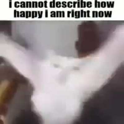 Typa shit i been on lately 