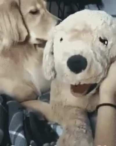 Hmmmm