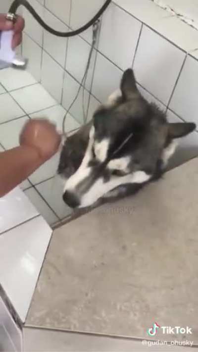 Que fofo :3