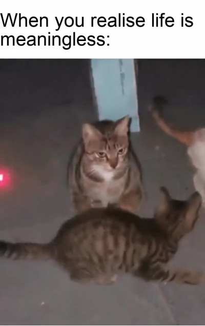 "all around me are familiar faces"