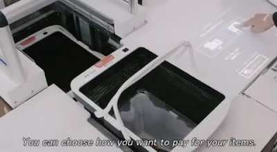 Self-checkout in Japan